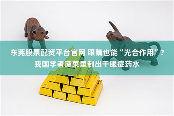 东莞股票配资平台官网 眼睛也能“光合作用”？我国学者菠菜里制出干眼症药水