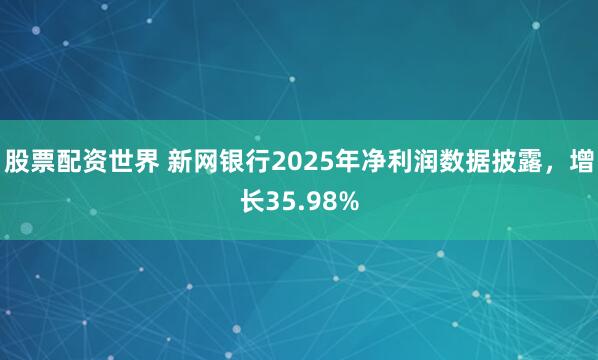 股票配资世界 新网银行2025年净利润数据披露，增长35.98%